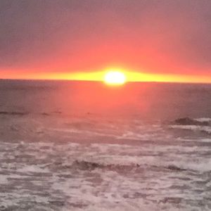 Meet your Posher, Claire